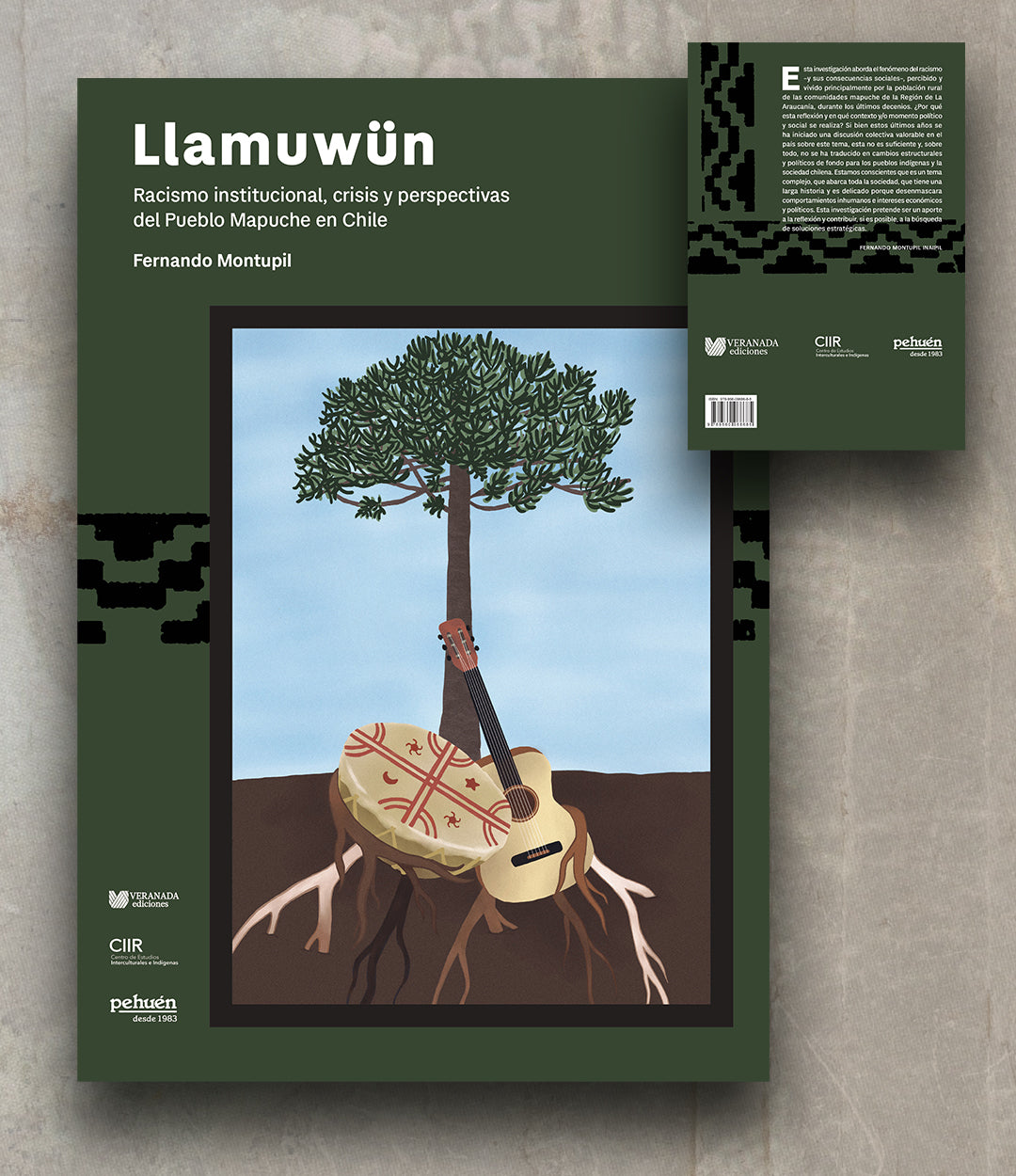 Llamuwün Racismo institucional, crisis y perspectivas del Pueblo Mapuche en Chile